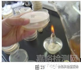 微生物取樣、樣品制備技巧及稀釋、接種、培養(yǎng)方法匯總