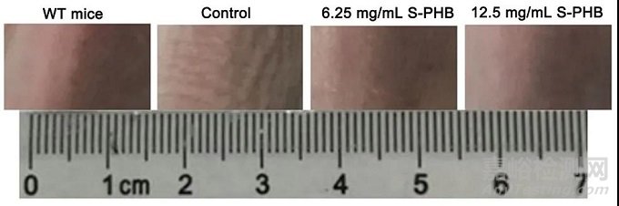生物基廣譜抗菌紡織品的研究及發(fā)展趨勢