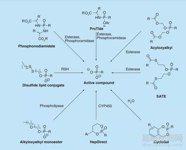 盤點(diǎn)前體藥物技術(shù)的分類及應(yīng)用