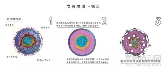 次氯酸水小知識，你知道了嗎