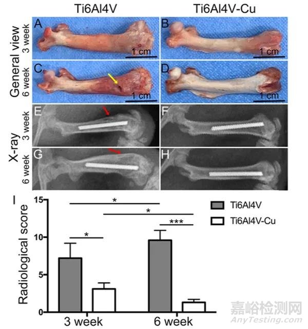 金屬所在含銅抗菌鈦合金研究取得重要進展