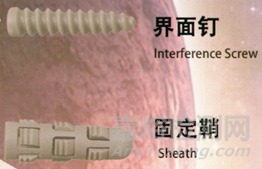 運動醫(yī)學介紹及行業(yè)分析