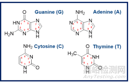 基因毒性雜質(zhì)及其警示結(jié)構(gòu)