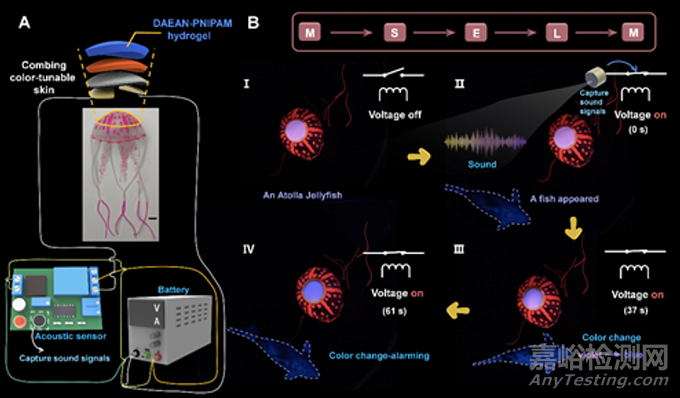 基于智能多色熒光高分子水凝膠的仿生變色皮膚研究取得新進(jìn)展