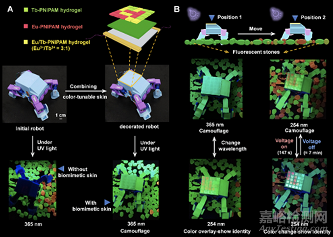 基于智能多色熒光高分子水凝膠的仿生變色皮膚研究取得新進(jìn)展