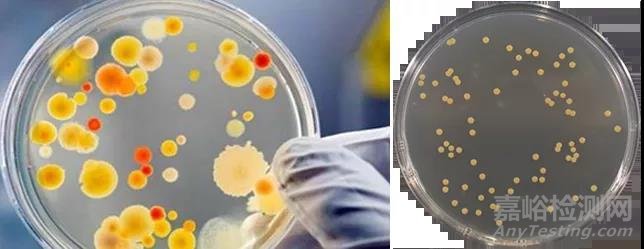 手把手教你做GB 4789.2-2016菌落總數(shù)測(cè)試