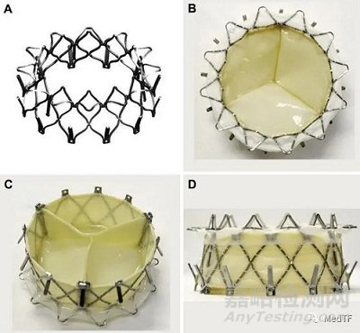 TRISOL VALVE：整體式瓣葉的三尖瓣