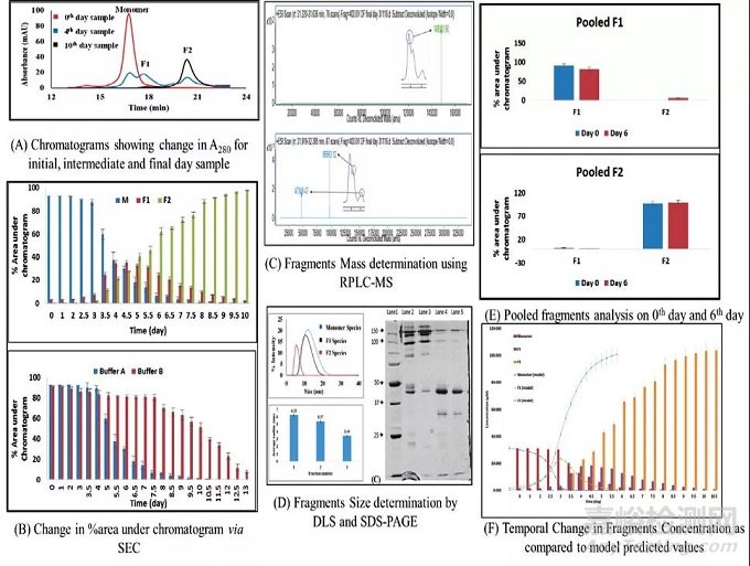 如何模擬mAb藥物降解及模型建立