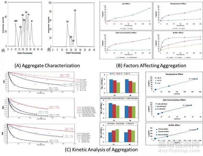 如何模擬mAb藥物降解及模型建立