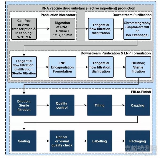 mRNA藥物背后的工藝開發(fā)