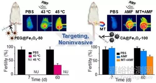 南通大學(xué)開發(fā)出“磁控避孕”新技術(shù)
