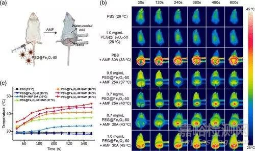 南通大學(xué)開發(fā)出“磁控避孕”新技術(shù)