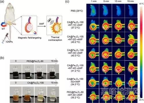 南通大學(xué)開發(fā)出“磁控避孕”新技術(shù)