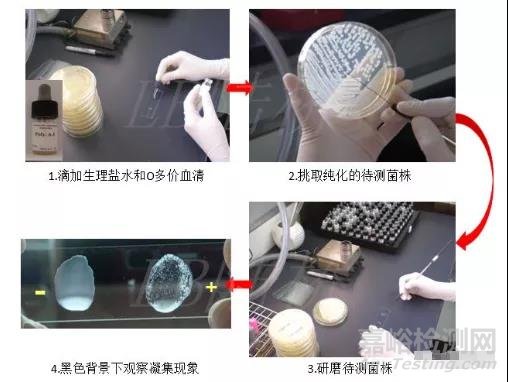 GB 4789.4-2016 沙門氏菌的檢驗過程及操作時的注意事項