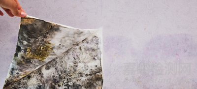 潔凈室霉菌污染，有哪些來(lái)源？