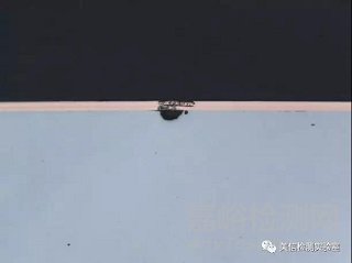 切片分析方法與應用