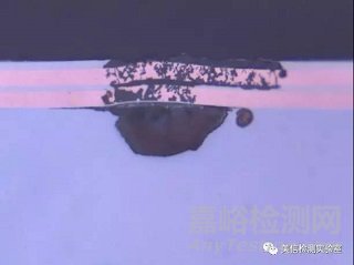 切片分析方法與應用