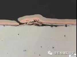 切片分析方法與應用