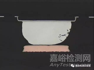 切片分析方法與應用