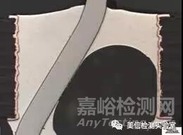 切片分析方法與應用