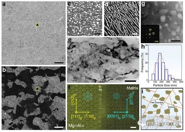 金屬所《Nature Commun》:高強(qiáng)高耐蝕鎂合金取得重要突破