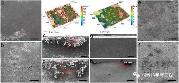 金屬所《Nature Commun》:高強(qiáng)高耐蝕鎂合金取得重要突破