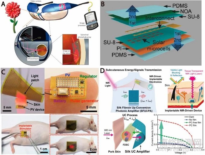 吉林大學汪大洋/程崇嶺《ACS Nano》綜述：為植入式生物醫(yī)學設備無線供電的皮下光收集技術進展