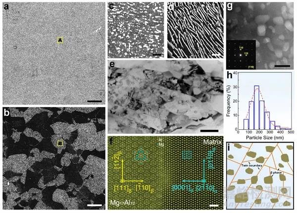 鎂合金力學(xué)強度與耐蝕性協(xié)同提升研究獲進展