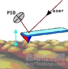 AFM的原理及應(yīng)用