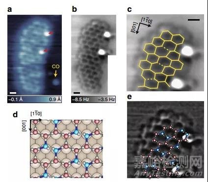 AFM的原理及應(yīng)用