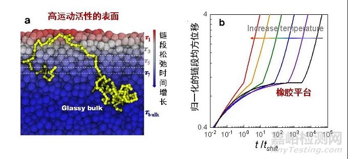 聚合物表面分子動力學(xué)的表征和新機制