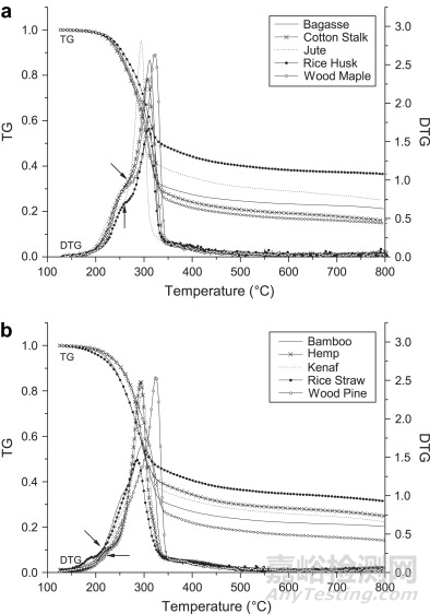 影響熱重分析結(jié)果的因素及應(yīng)用分析