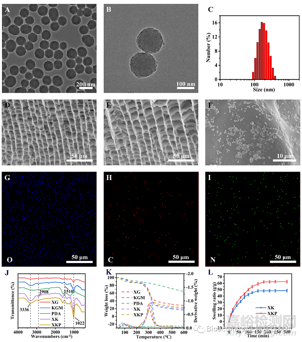 具有優(yōu)異的抗菌活性和快速形狀適應(yīng)性的復(fù)合食品膠水凝膠用于加速細菌感染傷口愈合|Bioactive Materials