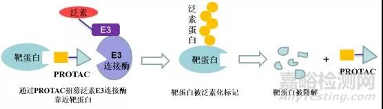 小分子藥物的困境與出路