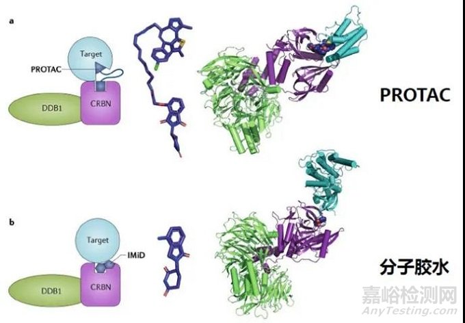 小分子藥物的困境與出路