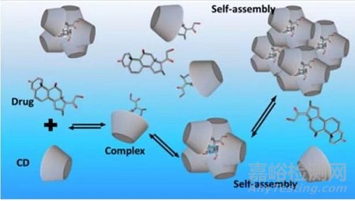 盤點10大藥物增溶策略