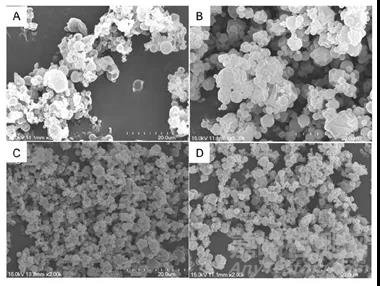 噴霧干燥技術(shù)在干粉吸入領(lǐng)域的應(yīng)用