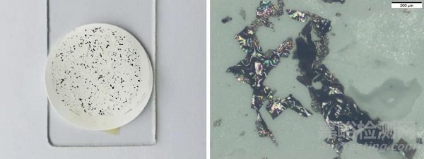 取樣容器污染潤滑油案例分析