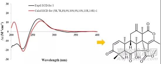 小分子化合物結構確證相關技術要求和經驗總結
