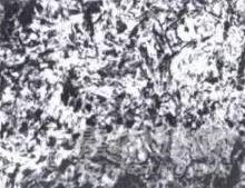 細(xì)說緊固件螺栓調(diào)質(zhì)的金相檢驗(yàn)