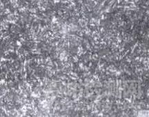 細(xì)說緊固件螺栓調(diào)質(zhì)的金相檢驗(yàn)