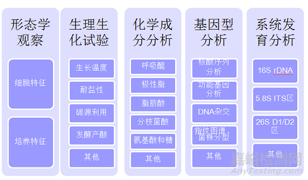 微生物檢測(cè)的接種、培養(yǎng)、分離純化、鑒定和保存
