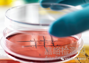 生物醫(yī)藥科技創(chuàng)新前沿、我國發(fā)展態(tài)勢和新階段的若干思考