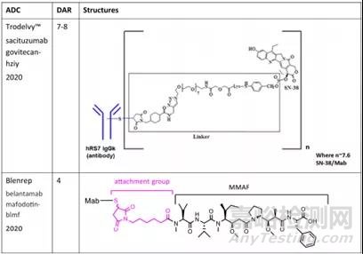市售抗體藥物配方綜述