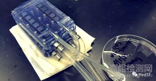 加州大學(xué)的人工腎：腎衰竭患者無需透析