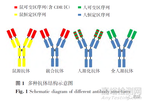 人源化單克隆抗體的研究進展