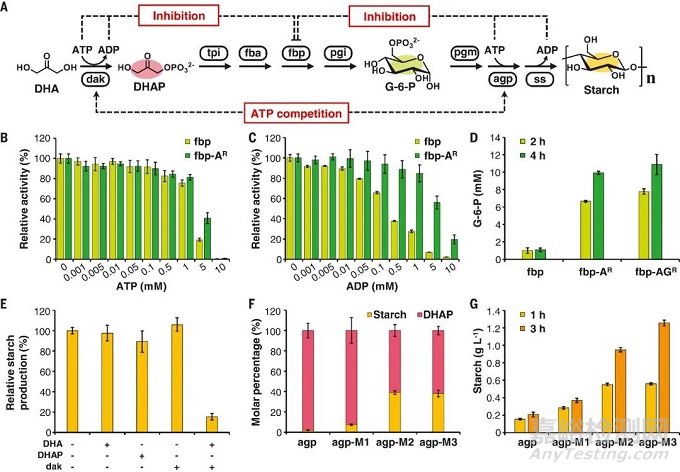 我國(guó)科學(xué)家突破CO?人工合成淀粉技術(shù)