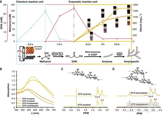 我國(guó)科學(xué)家突破CO?人工合成淀粉技術(shù)