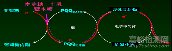 血糖儀的研發(fā)實(shí)驗(yàn)要求、相關(guān)標(biāo)準(zhǔn)與主要風(fēng)險(xiǎn)