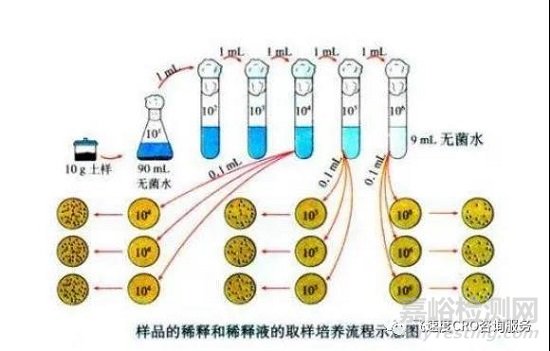 怎么理解微生物檢測中的梯度稀釋